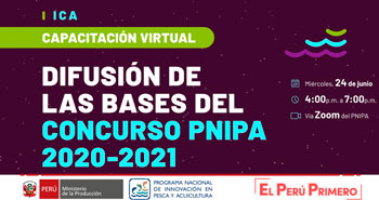 (Capacitación Virtual gratuito) PNIPA: Difusión de las bases del concurso PNIPA 2020-2021