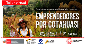 Taller Virtual Gratuito de Orientación para participantes del concurso Emprendedores por Cotahuasi