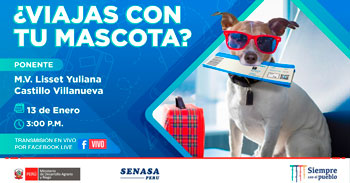 (Charla Virtual Gratuita) SENASA: ¿Viajas con tu mascota?