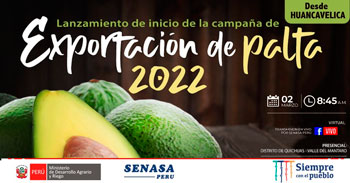 SENASA te invita a participar del lanzamiento de inicio de campaña de exportación de la palta 2022