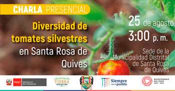 Charla presencial sobre la diversidad de tomates silvestres en Santa Rosa de Quives