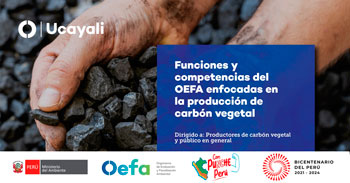 Charla presencial gratuita sobre las funciones y competencias del OEFA enfocadas en la producción de carbón vegetal