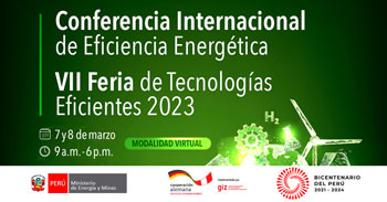 Conferencia internacional virtual respecto a la eficiencia energética