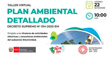 Taller online "Plan Ambiental Detallado" del MINEM