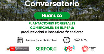 Conversatorio online "Plantaciones forestales comerciales en el perú: Productividad e incentivos financieros"