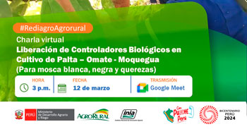 Charla online "Liberación de Controladores Biológicos  Cultivo de Palta - Omate Moquegua" Agro Rural
