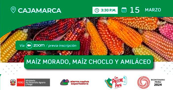 Evento online "Experiencia exitosa en el cultivo de maiz morado inia 601 y la articulacion comercial"