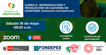  Curso online gratis "Reproducción y Producción de Alevines de Gamitana (Colossoma Macropomum)" de FONDEPES