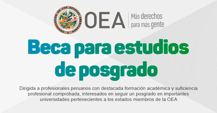 OEA ofrece beca de posgrado a profesionales peruanos - Convocatoria 2024