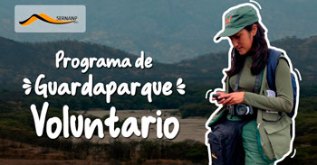 Programa Guardaparques Voluntarios del Parque Nacional del Río Abiseo 2024