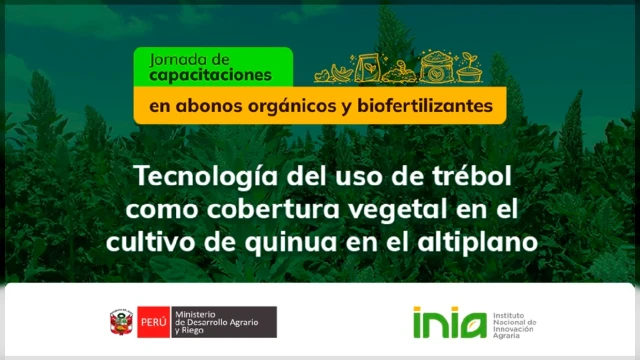 Capacitación virtual - Tecnología del uso de trébol como cobertura vegetal en el cultivo de quinua en el altiplano