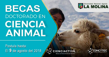 Postula a las 10 Becas que ofrece el Doctorado en Ciencia Animal de la Universidad Nacional Agraria La Molina