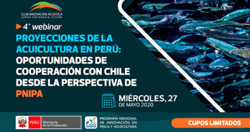 (Webinar) PNIPA: Proyecciones de la acuicultura en Perú: Oportunidades de cooperación con chile