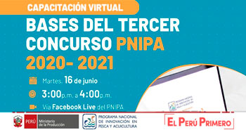 (Capacitacion Virtual Gratuita) PNIPA: Bases del Tercer Concurso PNIPA 2020-2021