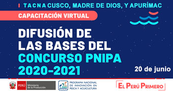 (Capacitaciones Virtuales) PNIPA: Difución de las bases del Concurso PNIPA 2020-2021