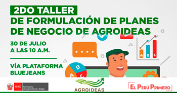 (Taller Virtual Gratuito) AGROIDEAS: Formulación de planes de negocio de agroideas