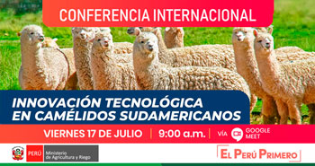 (Conferencia Internacional) MINAGRI: Innovación Tecnológica en camélidos sudamericanos