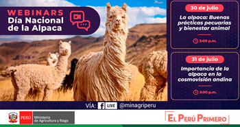 (Webinars Gratuito) MINAGRI: Día Nacional de la Alpaca la principal actividad agropecuaria en zonas altoandinas