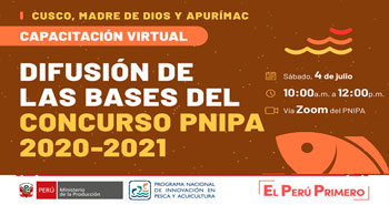 (Capacitación Virtual) PNIPA: Difusión de las bases del Tercer Concurso PNIPA 2020-2021