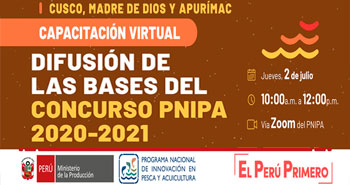 (Capacitación Virtual gratuito) PNIPA: Difusión de las bases del Concurso PNIPA 2020-2021