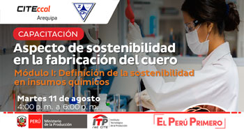 Capacitación Virtual Gratuita: Aspecto de Sostenibilidad en la Fabricación del Cuero