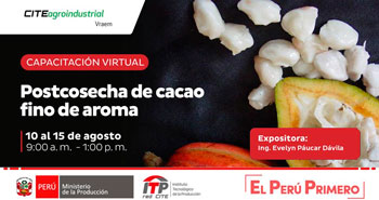 Capacitación Virtual Gratuita: Postcosecha de Cacao Fino de Aroma