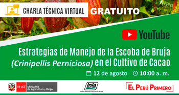 (Charla Técnica Virtual Gratuita) INIA: Estrategias de manejo de la escoba de bruja en el cultivo de cacao
