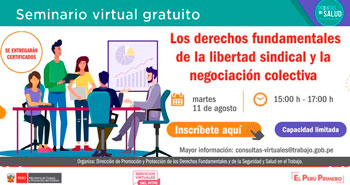 (Seminario Virtual Gratuita) MINTRA: Los derechos fundamentales de la libertad sindical y la negociación colectiva
