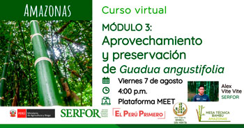 (Curso Virtual) SERFOR: Aprovechamiento y Preservación de Guadua Angustifolia