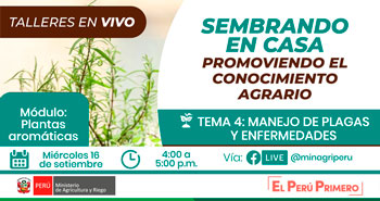 (Taller Virtual Gratuito) MINAGRI: Sembrando en casa- promoviendo el conocimiento agrario