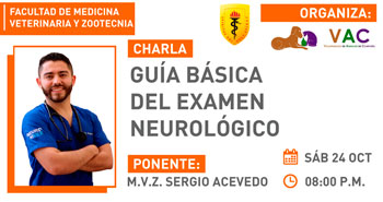Charla Académica Virtual Gratuita: Guía básica del examen neurológico