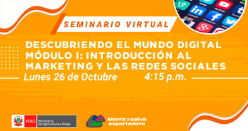 Seminario Virtual Gratuito: Descubriendo el mundo digital módulo I - Introducción al marketing y las redes sociales