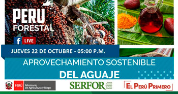 (Transmisión en vivo) SERFOR: Aprovechamiento Sostenible del Aguaje