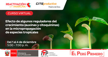 Curso Virtual: Efectos de algunos reguladores del crecimiento (auxinas y citoquininas) en micropropagación