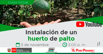 (Curso Virtual Gratuito) INIA: Instalación de un Huerto de Palto