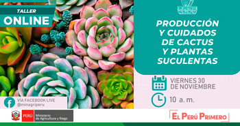(Taller Online Gratuito) MINAGRI: Producción y cuidados de cactus y plantas suculentas