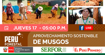 (Transmisión en vivo) SERFOR: Aprovechamiento Sostenible de Musgos