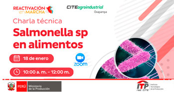 Charla Técnica Virtual: Salmonella sp en alimentos