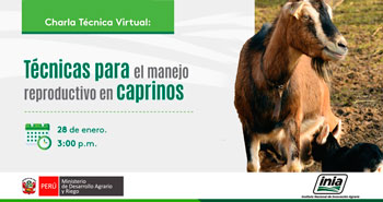 (Charla Técnica Virtual) INIA: Técnicas para el manejo reproductivo en caprinos