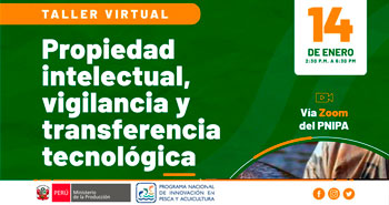 (Taller virtual Gratuito) PNIPA: Propiedad Intelectual, vigilencia y transferencia Tecnológica