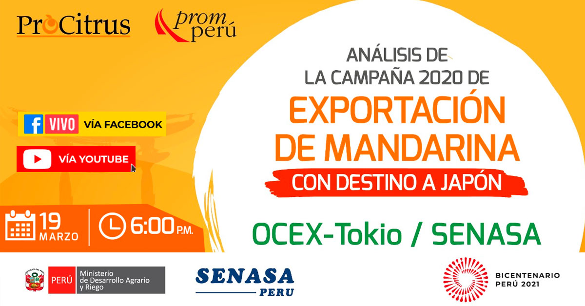 (Charla Virtual Gratuito) SENASA: Análisis de la campaña 2020 de exportación de mandarina a Japón