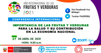 Conferencia Internacional: Importancia de Frutas y Verduras para la Salud y su Contribución en la Economía Nacional