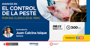 (Charla Gratuita) SENASA: Avances de la erradicación de la Peste Porcina Clásica
