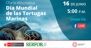 (Charla Informativa) SERFOR: Día Mundial de las Tortugas Marinas 