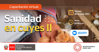 (Capacitación Virtual Gratuito) MIDAGRI: Sanidad en cuyes II