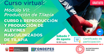 (Curso Virtual Gratuito) FONDEPES: Reproducción y produccion de alevines masculinizados de Tilapia