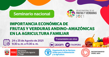 Seminario Nacional sobre la Importancia económica y social de las principales frutas y verduras andino amazónicas