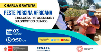 (Charla Virtual Gratuita) SENASA: Peste Porcina Africana, Etimología, Patogénesis y Diagnóstico Clínico