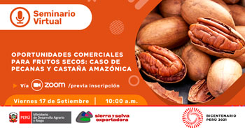 Seminario Virtual Gratuito sobre Oportunidades comerciales para frutos secos (pecana y caztaña amazonica)