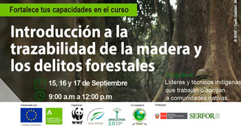 Curso Gratuito de Introducción a la trazabilidad de la madera y los delitos forestales